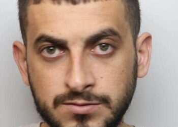 12 muaj burg për shqiptarin që u kap në “fermë” kanabisi/ Ja si u shfajësua