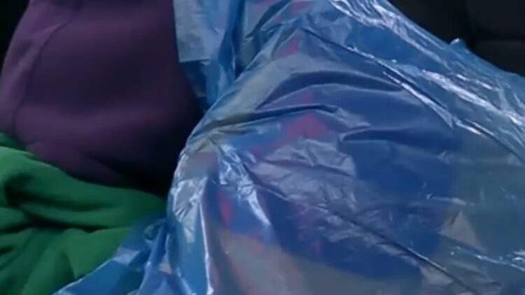 20 orë në garë, kush i ka rezistuar sfidës së Vëllait të Madh?