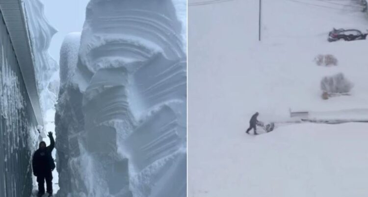 Dëbora “paralizon” Kanadanë, mbyllen shkollat e anulohen fluturimet