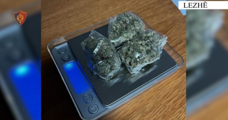 Hodhi nga makina çantën me kanabis, arrestohet 21-vjeçari në Lezhë