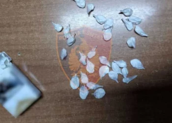 “Jemi steka të vjetra ne”, pjesë nga përgjimet e rrjetit të kokainës/ Si funksiononte rrjeti