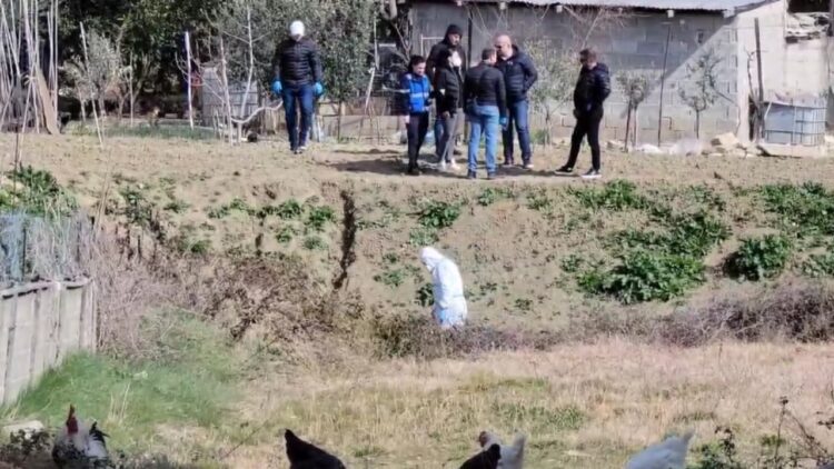 Vrasja e Pëllumb Metës, 7 të shoqëruar. Policia në kërkim të…