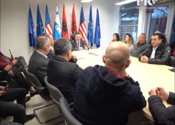 Mediu me strukturat e partisë: 20 Shkurti është dita e shqiptarëve