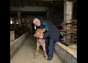 “Të rimëkëmbim blegtorinë”, Meta propozon: 10 mijë euro grant dhe…