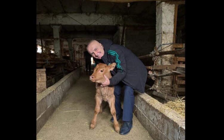 “Të rimëkëmbim blegtorinë”, Meta propozon: 10 mijë euro grant dhe…