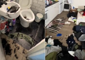 Hajdutët hyjnë në shtëpinë e muzikantit, vjedhin dhe…