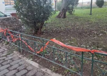 EMRI/ Qëllohet me armë zjarri 34 vjeçari shqiptar në Greqi