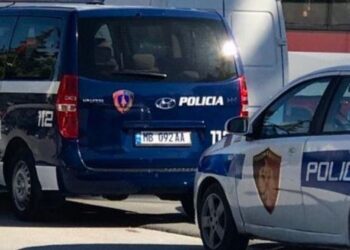 Me pushkë dhe municion luftarak në banesë, arrestohet 61-vjeçari