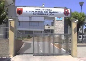 Vodhi elektroshtëpiake dhe ushqime, pranga 64-vjeçarit