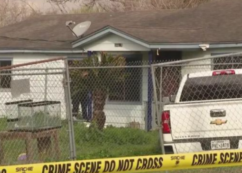 Shkoi për të vjedhur, adoleshenti qëllon për vdekje hajdutin