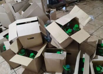 Falsifikonte vajin e ullirit dhe e sillte në Shqipëri, pranga 48-vjeçarit grek