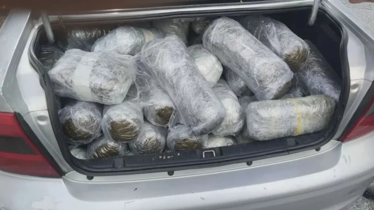 Lum droge në kufi, kapen 100 kg lëndë narkotike në Igumenicë