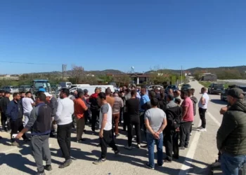 “50 lekë një kilogram luleshtrydhe”/ Fermerët protestojnë në Fier