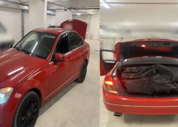 Sekuestrohen 40 kg marijuanë në kufirin greko-shqiptar, një në pranga