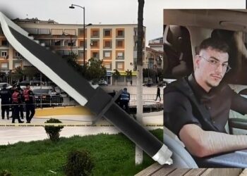 E rrahu dhe e filmoi/ Një video, shkaku i sherrit që vrau Grein