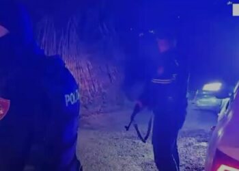 Tentuan të vidhnin dhe qëlluan në drejtim të policisë, 2 në pranga