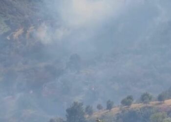 Zjarri në Fier/ Flakët përhapën në ullishte, policia shoqëron…