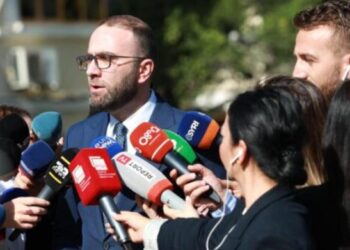 Vendimi i Gjykatës për PD, Bardhi: Apeli t’i japë fund absurdit