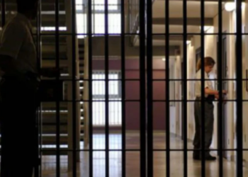 Shqiptari kthen ish-redaksinë e gazetës në shtëpi bari