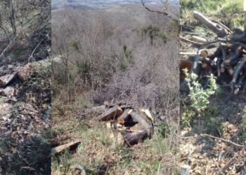 I dënuar me burg, arrestohet 39-vjeçari në Vlorë