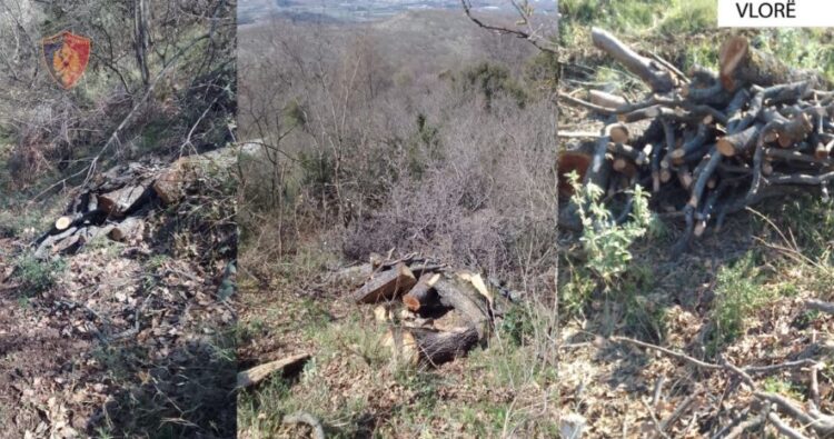 I dënuar me burg, arrestohet 39-vjeçari në Vlorë