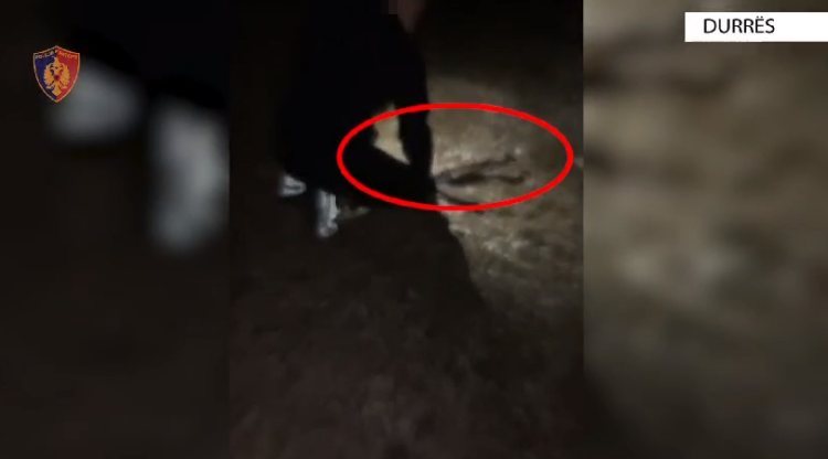 8 persona në pranga, gjuanin me kallash dhe videot i postonin në…