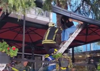 Foleja e prostitucionit në Durrës, arrestohet 39-vjeçari që…