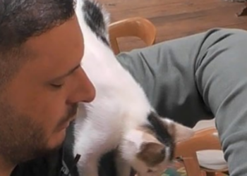 Dijonisi flet për “raportin” me Sokolin: Do e marr me vete