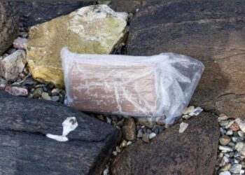 Me 10 mln euro kokainë në Slloveni, arrestohet një shqiptar