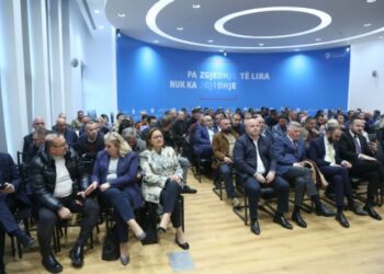 Ndryshimet në statutin e PD, Këshilli Kombëtar voton pro nënkryetarëve  të rinj/ Noka: Duhet Qeveri teknike