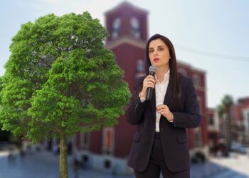 Sako shkul pemët për tenderin 161 MLM lekë të drurëve dekorativë, denoncohet në KPP