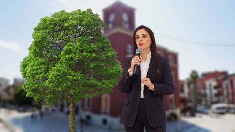 Sako shkul pemët për tenderin 161 MLM lekë të drurëve dekorativë, denoncohet në KPP