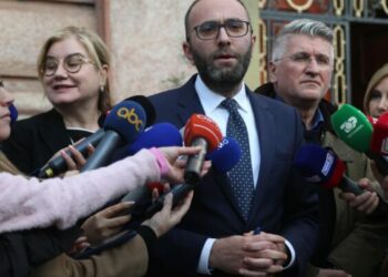 “A do të drejtoni një prej komisioneve?” Bardhi: Unë jam kryetar i…