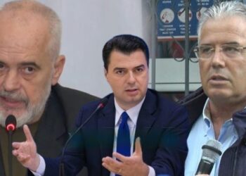 “Goro”, Basha: Të gjithë paskan ngrënë dardha pas kurrizit të Ramës