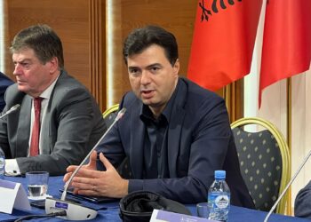 “Harku opozitar euro-atlantik”, Basha: Duhet votim dhe numërim…