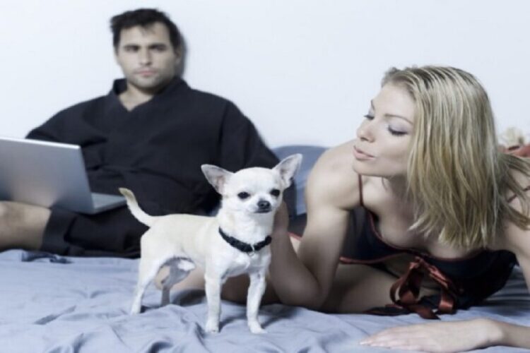 ​4 shenjat e zodiakut që i duan kafshët më shumë se partnerët