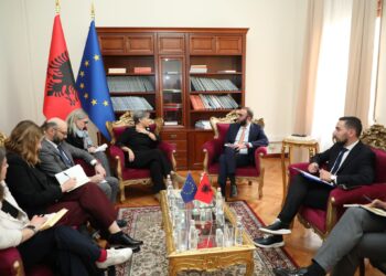 Bardhi takon raporteren e PE-së: Socialistët duhet të heqin dorë…