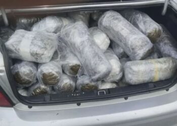 EMRAT/ Identifikohen dy shqiptarët e kapur me 100 kg drogë në Greqi