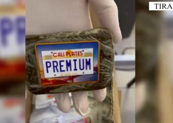 EMRAT/Trafik droge me postë nga SHBA në Shqipëri, në pranga 2 persona