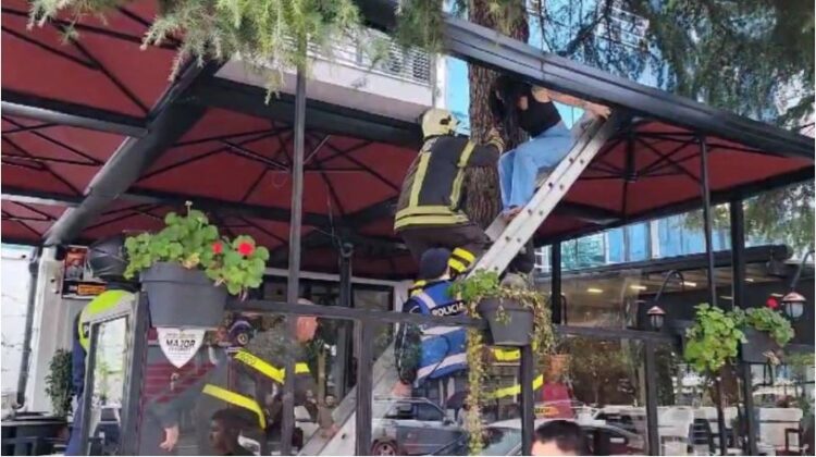 Goditet rrjeti i prostitucionit në Durrës, procedohen 5 shtetase…