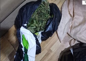 Sekuestrohen 10 kg kanabis, arrestohen tre persona