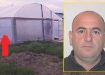 Babai i Bejtjes tregon si i vranë të birin: Hynë në serë…