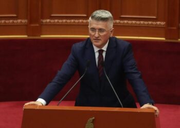 Gjekmarkaj: Buxheti ka rënë në duar kasapësh, ndërsa qytetarët…