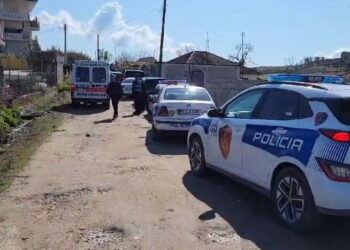 I riu përplas me makinë për vdekje një 76-vjeçare, detajet e para