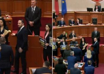 Salianji ironizon deputetët e mazhorancës: Janë dele…