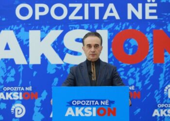 Baçi: Përfaqësuesit e qarkut të Fierit kanë rekorde për abuzime