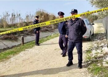 Lushnje/ Sherr mes dy vëllezërve, godasin njëri-tjetrin me sëpatë