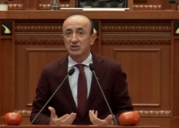 Sula me domate në kuvend: Ju hani byftek Dubai, ndërsa populli ha…