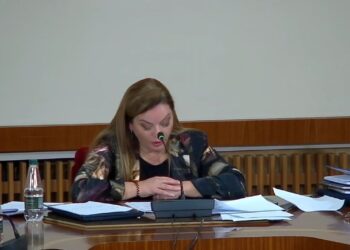 Lista e dëshmitarëve/ Komisioni Hetimor për shëndetësinë, Vokshi: Do thërrasim edhe Ramën