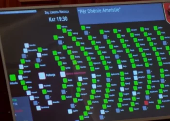 Kush është deputeti i vetëm që votoi kundër ‘Amnistisë Penale’